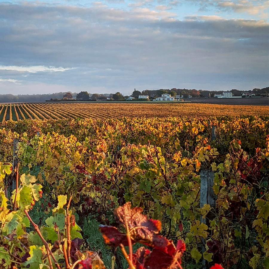 Installation pour les particuliers, pompe à chaleur et panneaux solaires à Coutras, Libourne et Bordeaux.